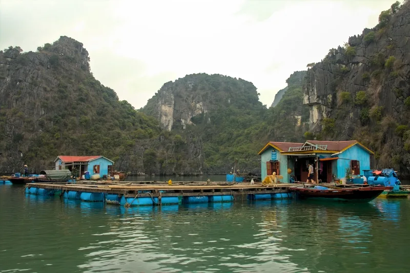 A floating fishing village with blue houses sits among limestone karsts in Bai Tu Long Bay.