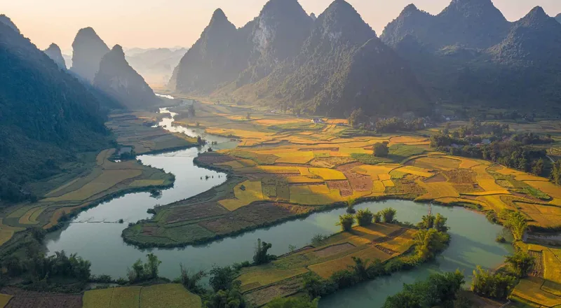 A winding river snakes through golden rice fields beneath jagged limestone peaks near Cao Bang, Vietnam.