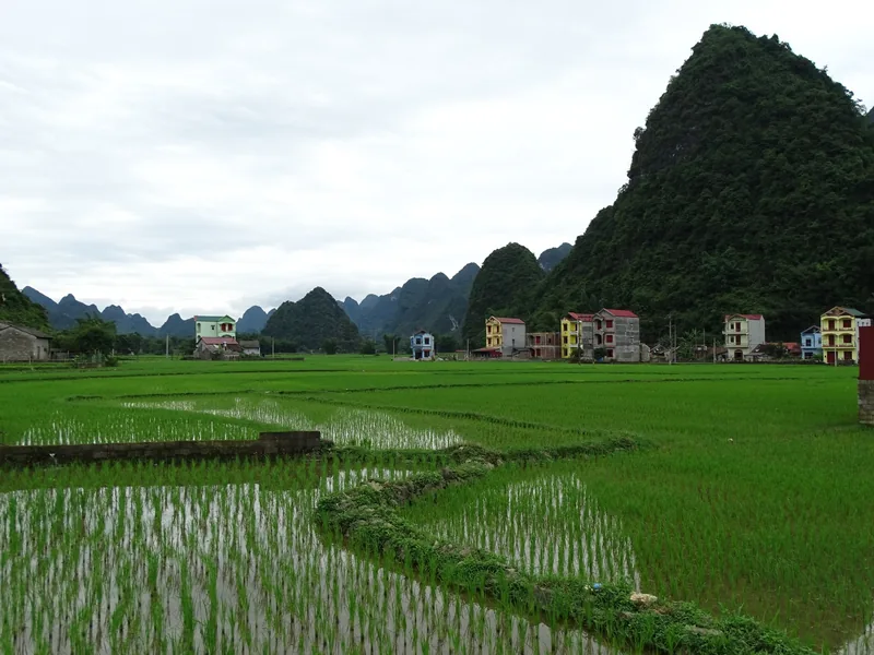 Green rice paddies stretch toward colorful houses beneath limestone karst mountains near Cao Bang.