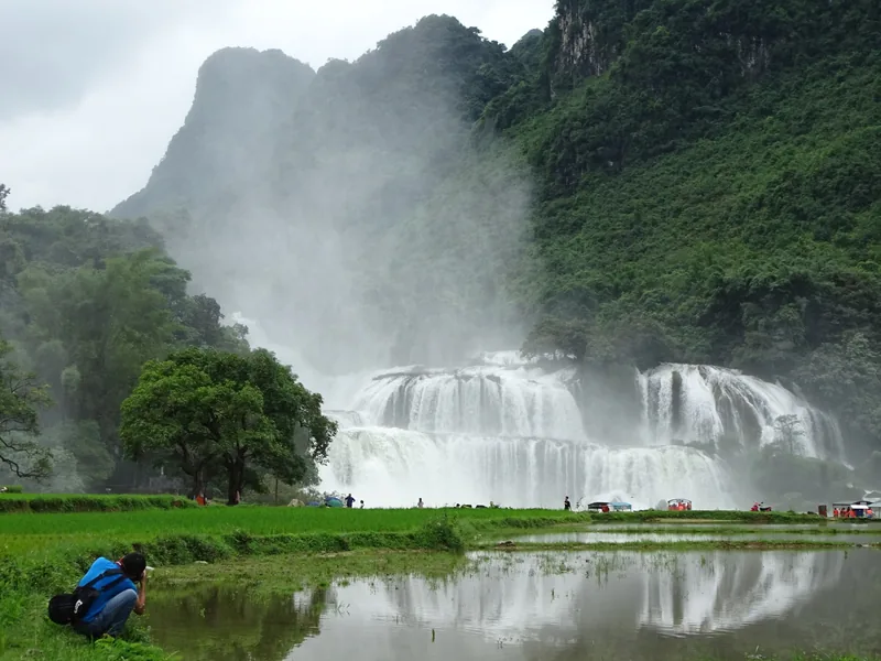 Wide cascades of Ban Gioc Waterfall tumble over limestone cliffs beside green rice paddies in Cao Bang.