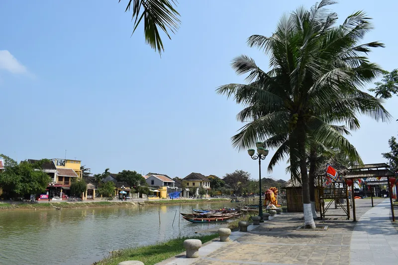Palm trees line the riverside promenade in Hoi An with wooden boats moored along the calm water.