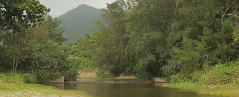 A calm reservoir surrounded by dense forest and a distant mountain in Con Dao National Park.