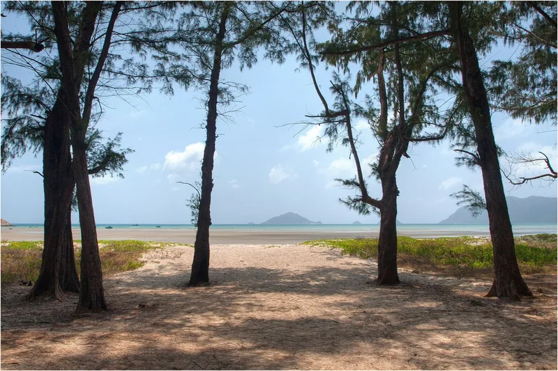 Casuarina trees frame a quiet sandy beach with a small island on the horizon at Con Dao.