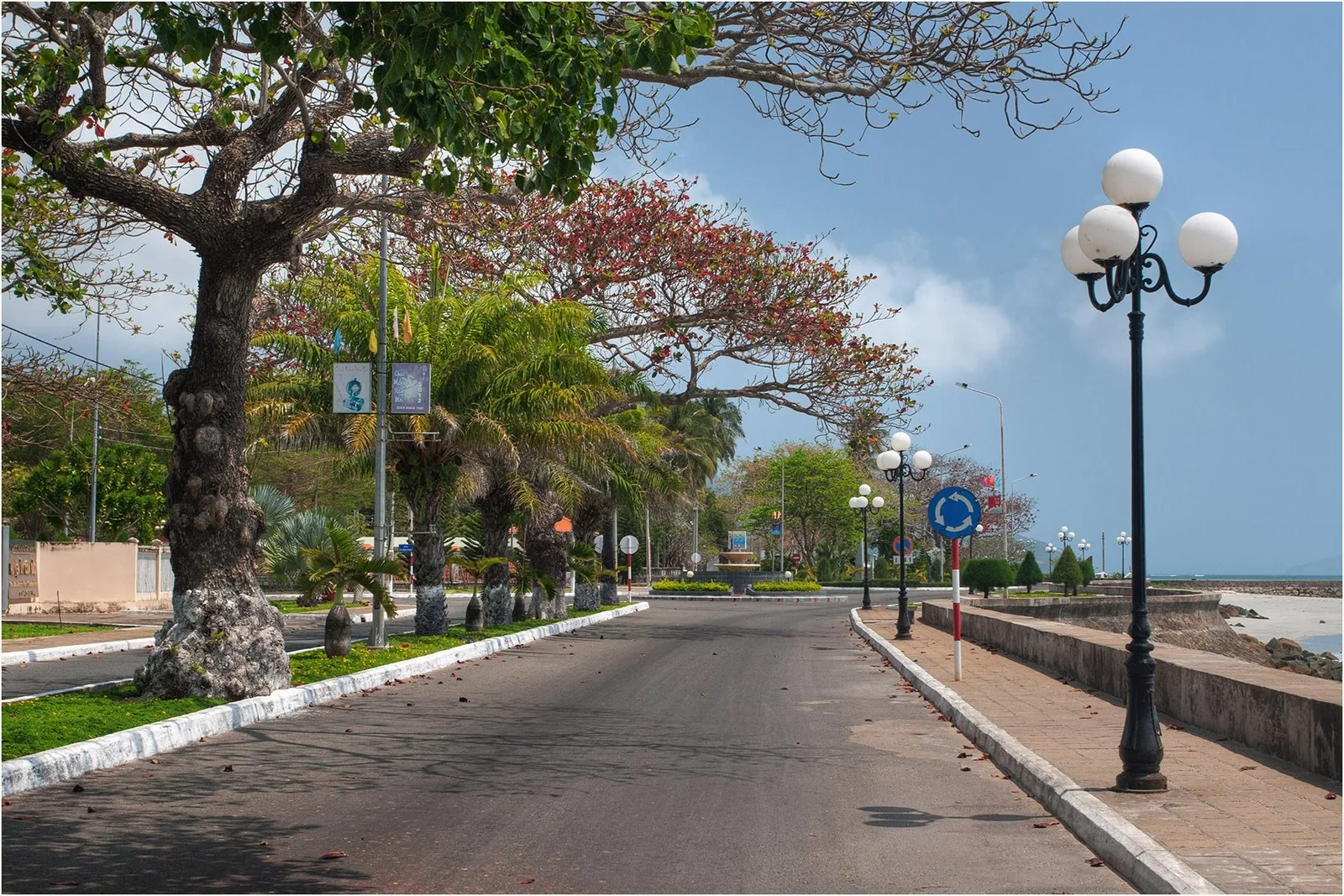 A quiet coastal road lined with trees, palm lamps and a roundabout sign in Con Dao town.