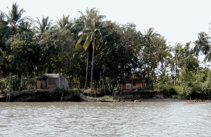 Small wooden houses and coconut palms line the eroding riverbank along the Mekong Delta's Song Tien river.
