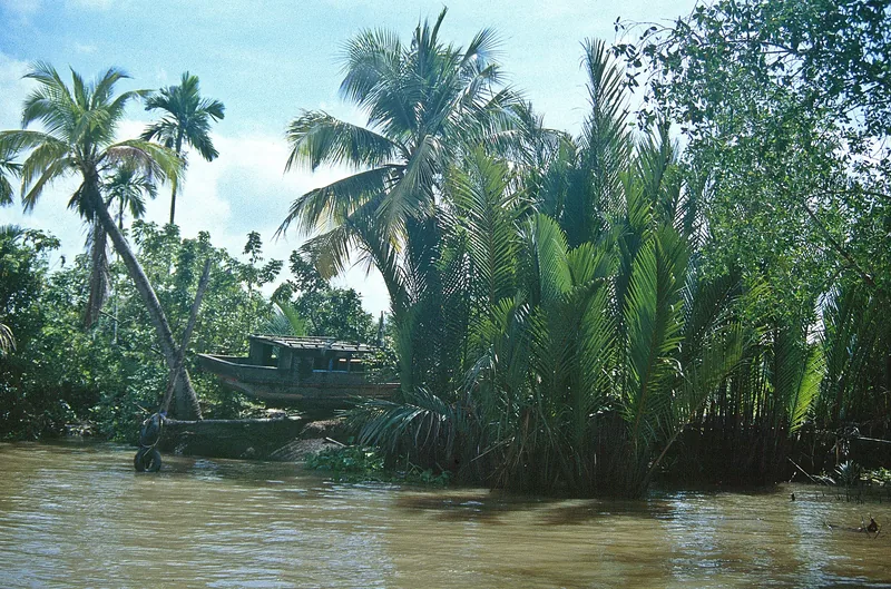 A wooden boat rests along a muddy Mekong Delta riverbank lined with palm trees and nipa palms.