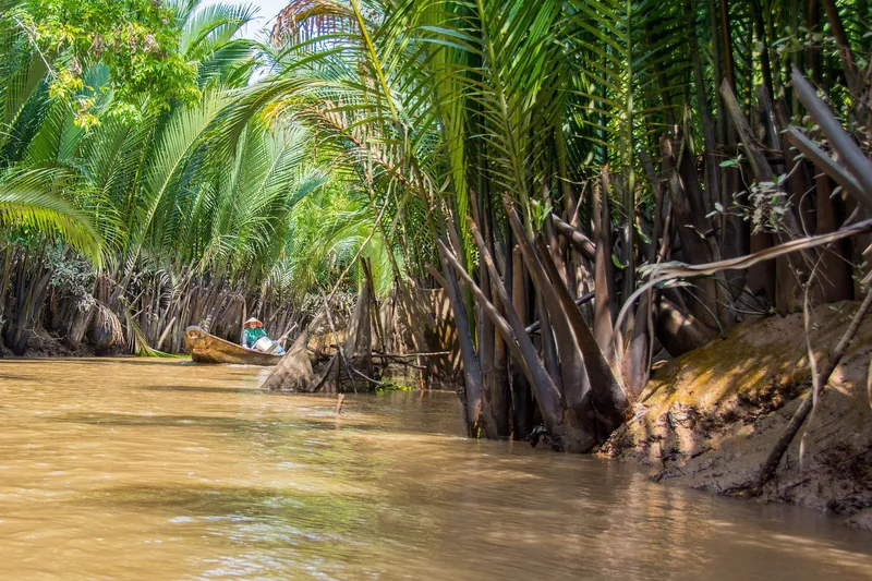 A small wooden boat drifts along a muddy canal lined with palm trees and water coconut plants in the Mekong Delta.
