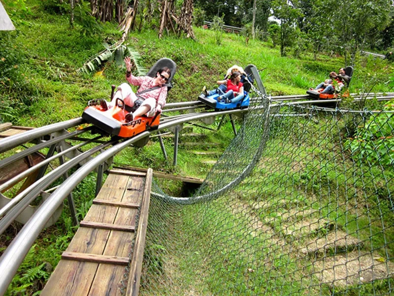 Riders coast down a mountain alpine coaster through green forest at Datanla Waterfall in Dalat.