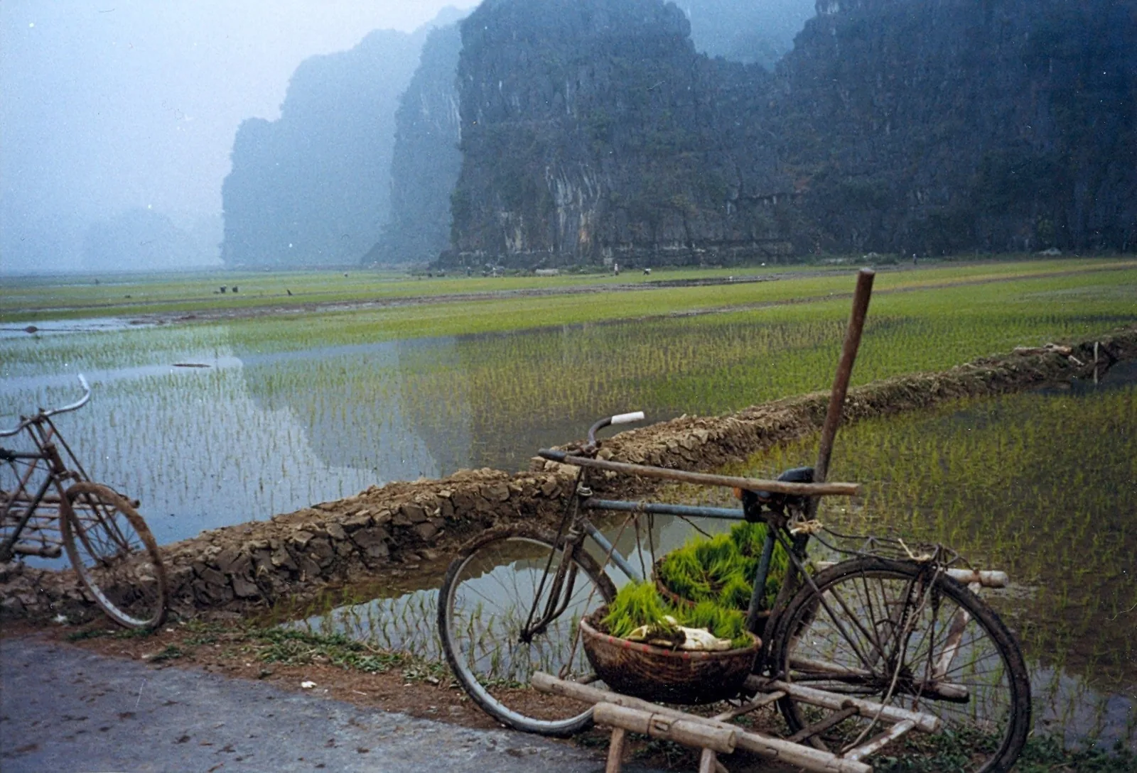 Bicycles rest beside flooded rice paddies with limestone karsts rising through mist near Tam Coc, Ninh Binh.