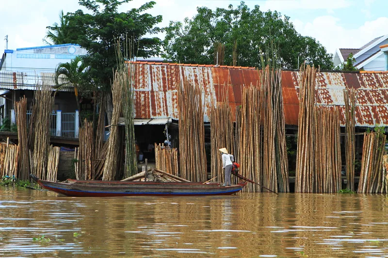 A person poles a small wooden boat past bundles of bamboo stacked along a riverbank in Tien Giang.