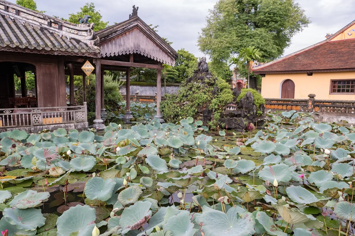 A lotus pond with wide green leaves fronts wooden pavilions and a rock garden inside a Hue royal complex.