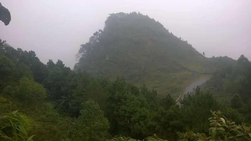 A rounded green hill rises through mist above a winding road and pine forest in Ha Giang.