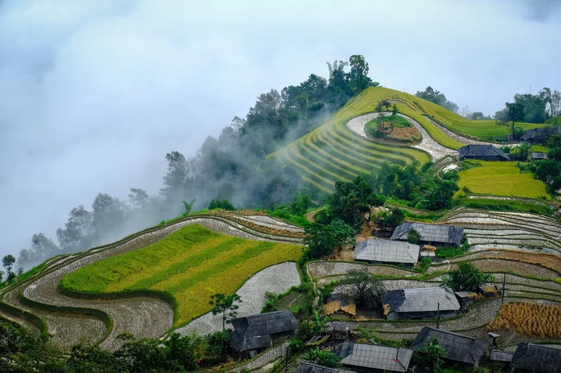 Mist drifts over terraced rice fields and a small village on a mountain ridge in Ha Giang.