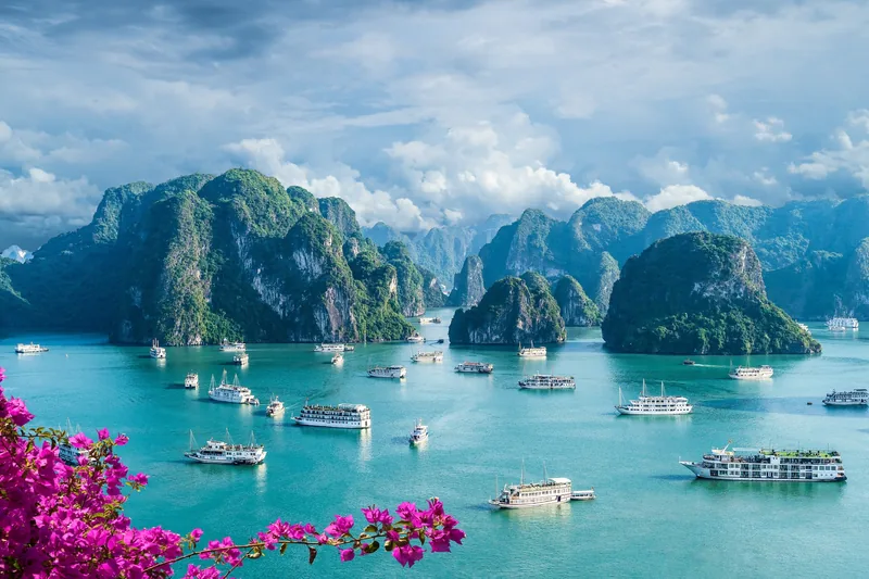 Cruise boats scatter across the turquoise waters of Ha Long Bay, framed by limestone karsts and pink bougainvillea.