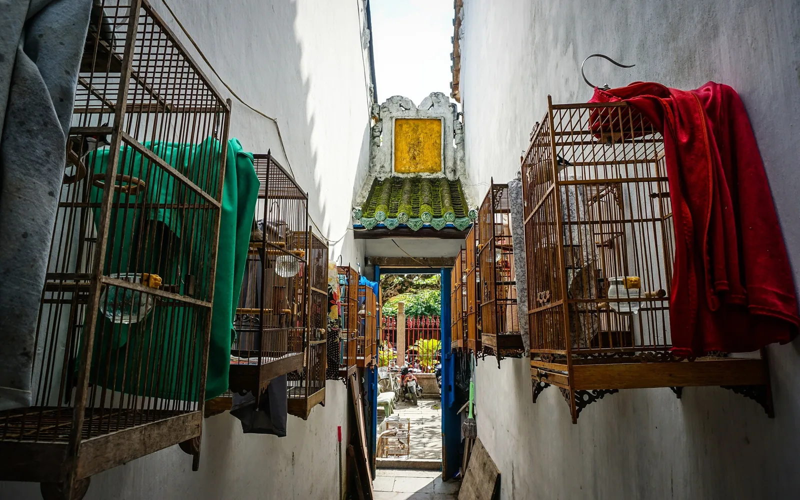 Wooden birdcages hang along a narrow alley wall leading to a decorative rooftop gate in Hoi An.