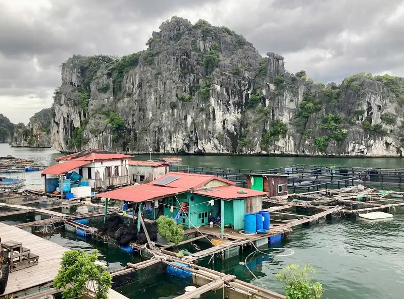 A floating fishing village with red-roofed huts and fish pens sits beneath limestone karsts in Lan Ha Bay.