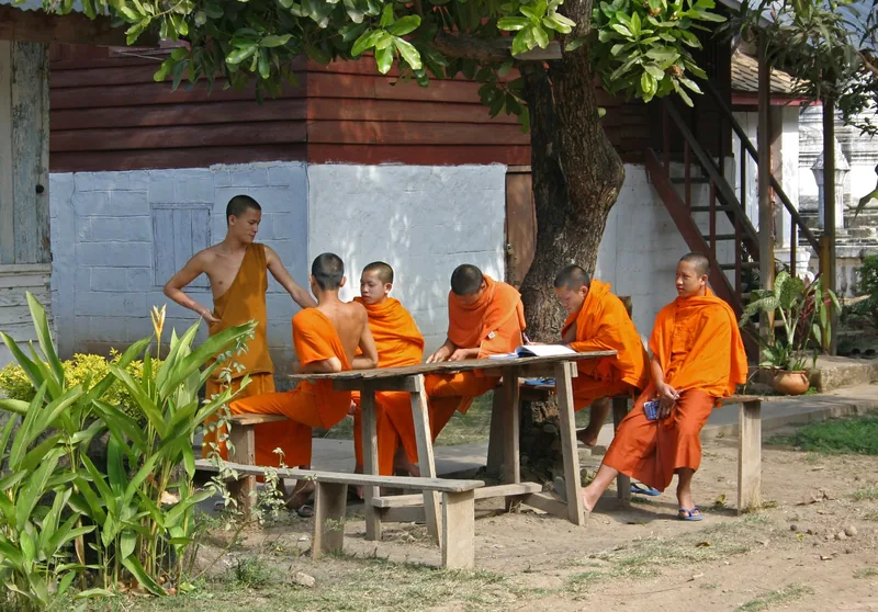 Young Buddhist novice monks in orange robes gather at a wooden table under a tree at a Luang Prabang temple.