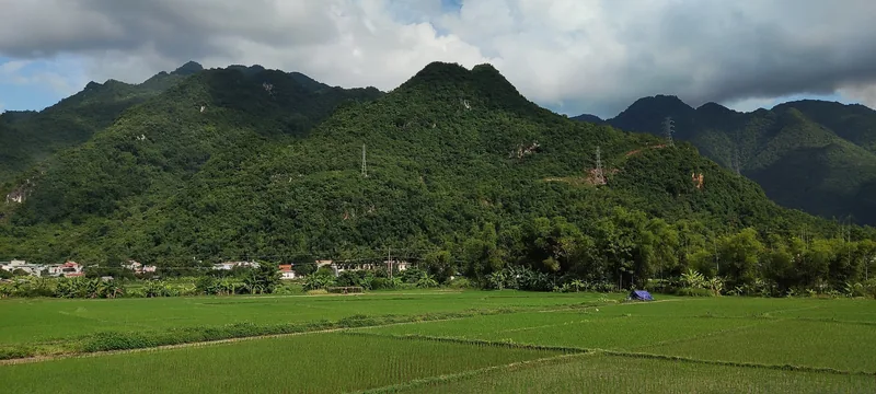 Green rice paddies stretch toward a village beneath forested limestone mountains in Mai Chau.