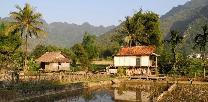 Traditional stilt houses stand among flooded rice fields backed by limestone mountains in Mai Chau.
