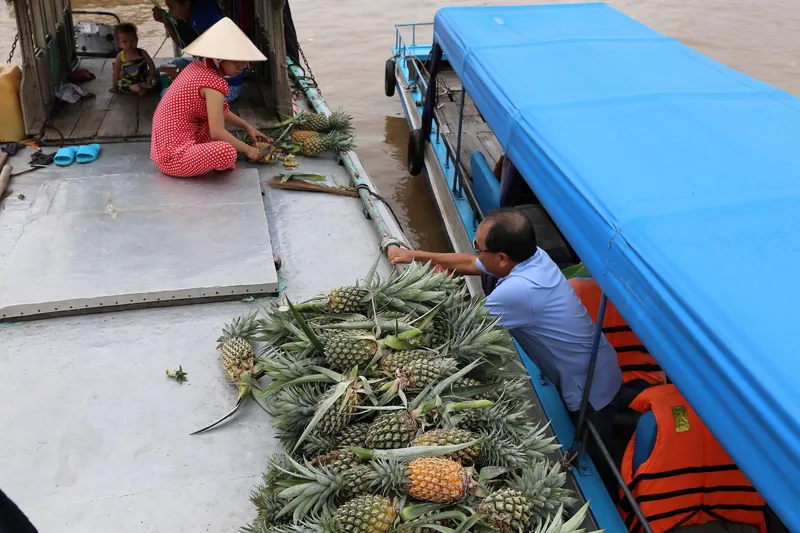 A vendor in a conical hat prepares pineapples on a river boat while a tourist reaches for the produce near Can Tho.
