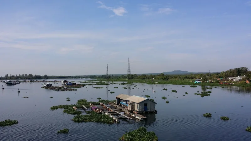 Floating houses and fish cages dot a wide river channel in the Mekong Delta under a bright sky.
