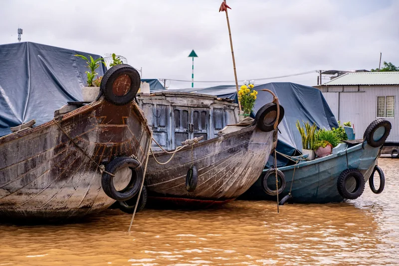 Wooden cargo boats with tire bumpers and potted flowers moored on a muddy river in the Mekong Delta.