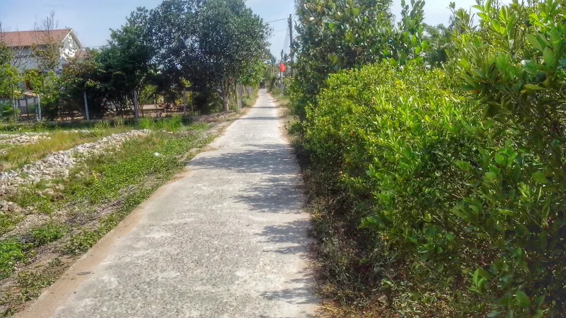 A concrete path lined with green hedges and trees runs through a rural village in the Mekong Delta.
