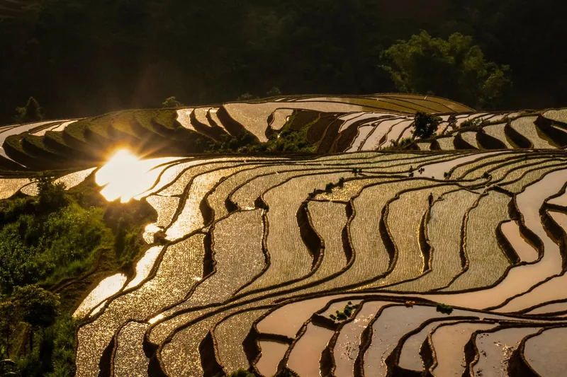 Golden sunset light reflects off flooded terraced rice fields in Mu Cang Chai.