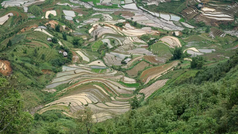 Aerial view of flooded terraced rice fields carving curving patterns into hillsides in Mu Cang Chai.