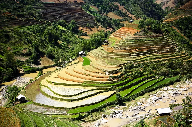 Terraced rice fields curve down a mountainside above a stream in Mu Cang Chai, Yen Bai.