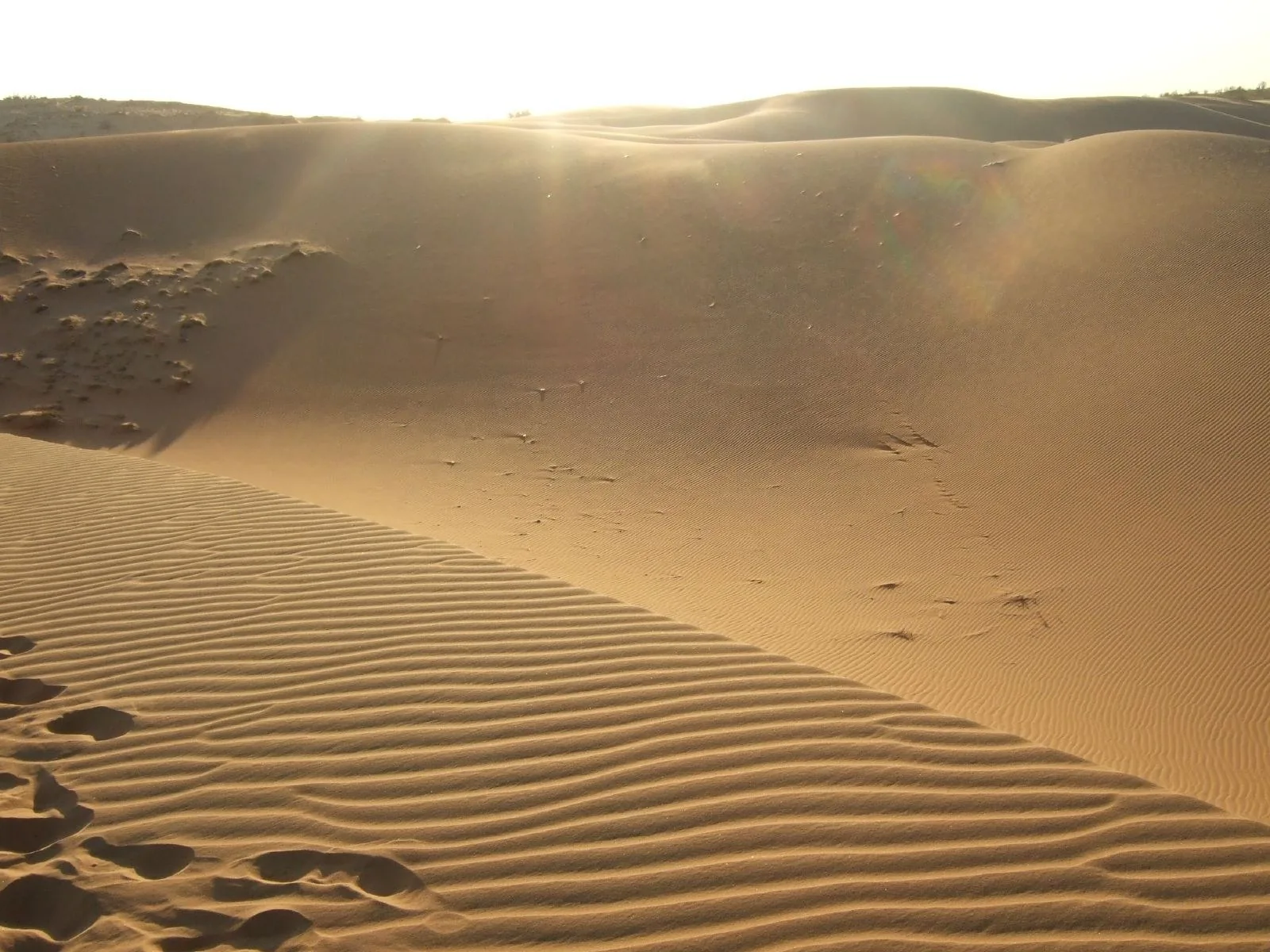 Sunlight glows over rippled sand dunes at Mui Ne, casting long shadows across the desert landscape.