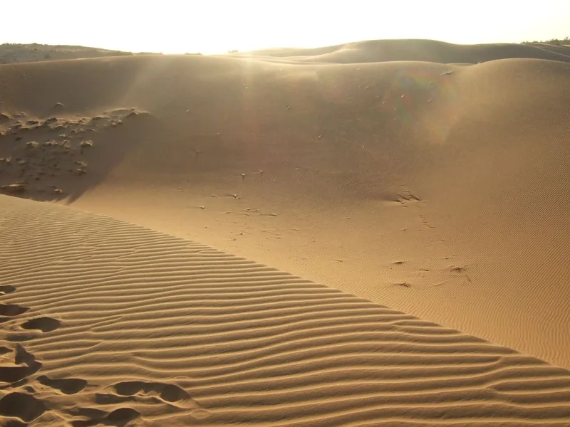 Sunlight glows over rippled sand dunes at Mui Ne, casting long shadows across the desert landscape.