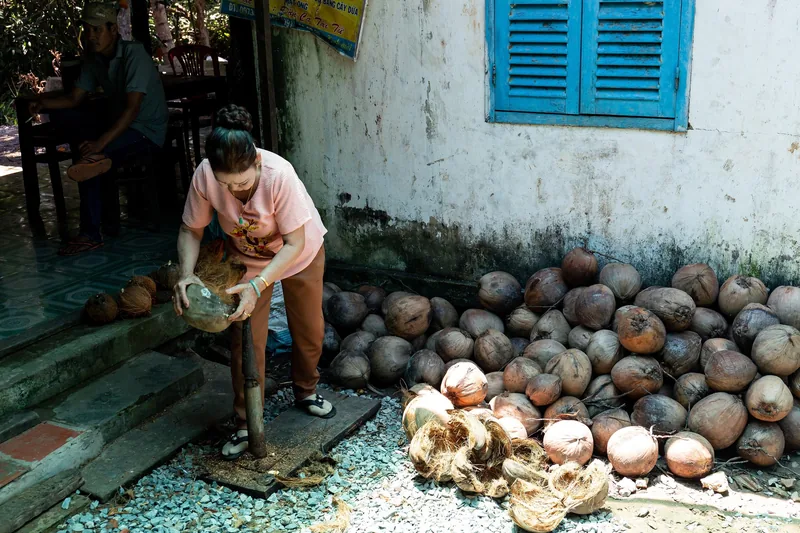 A woman husks coconuts by hand beside a large pile in the Mekong Delta, Vietnam.