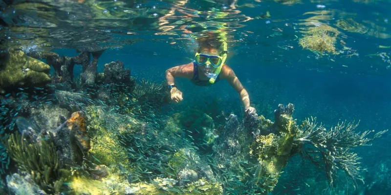 A snorkeler swims among coral reefs and schools of small fish in the clear turquoise waters of Nha Trang.