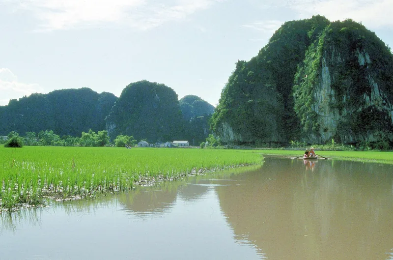A rower paddles a small boat along a river bordered by rice paddies and limestone karsts in Ninh Binh.