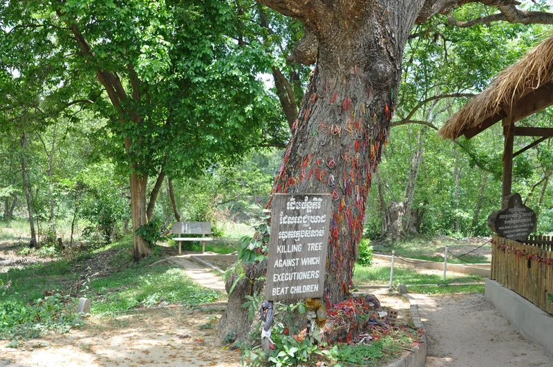 The Killing Tree at Choeung Ek memorial in Phnom Penh, adorned with colorful memorial bracelets and a wooden sign.