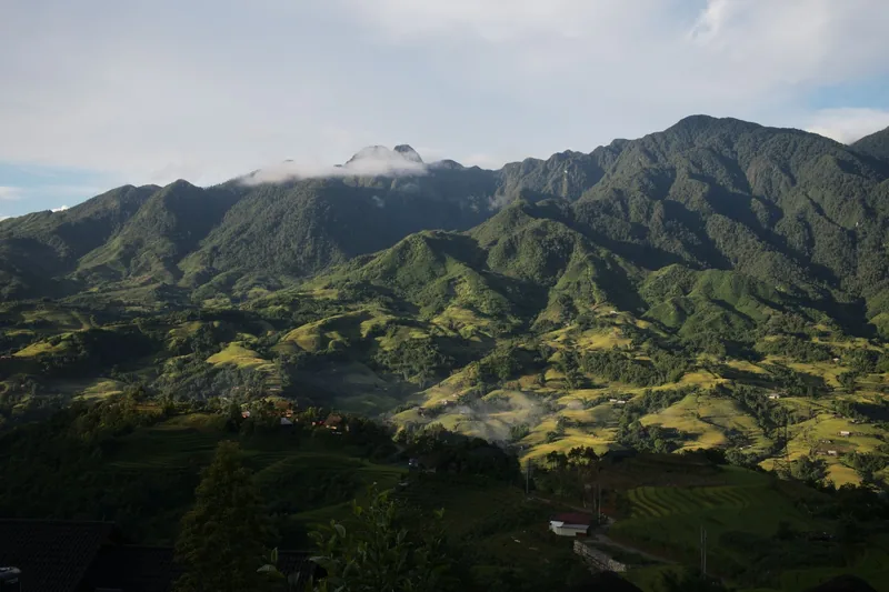 Terraced fields and forested peaks rise beneath morning mist in the mountains around Sapa, Vietnam.