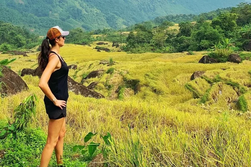 A woman gazes over golden rice terraces surrounded by mountains at Pu Luong Nature Reserve.