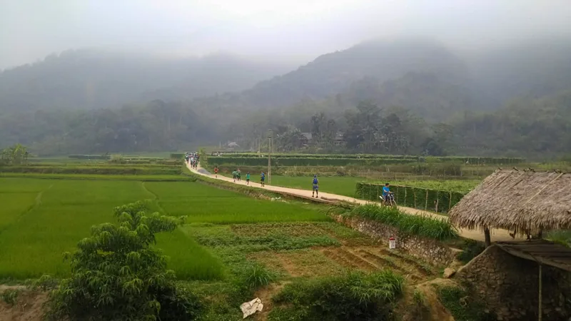 Cyclists and runners travel a road through green rice fields with misty mountains in Pu Luong, Vietnam.