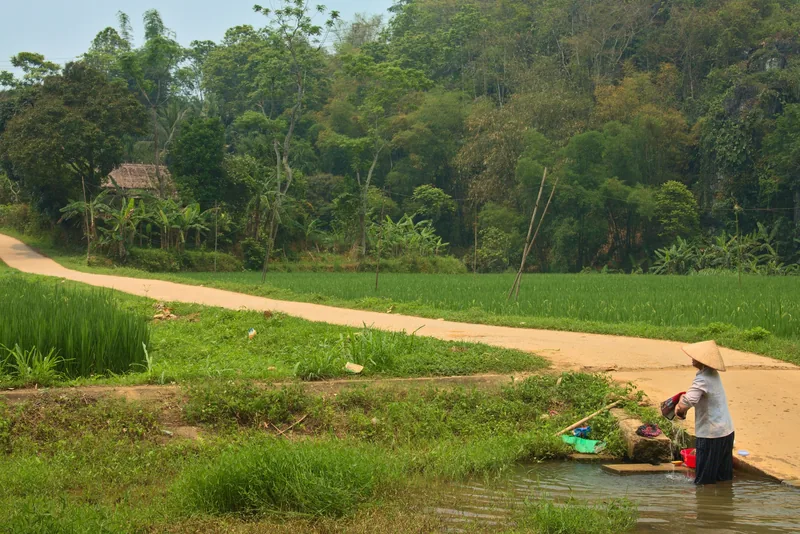 A conical-hat woman washes items in a stream beside a rice field path in Pu Luong.