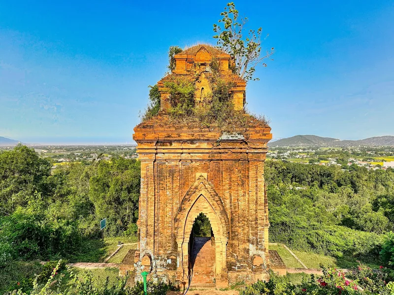 A weathered brick Cham tower with vegetation on its roof stands amid green hills near Quy Nhon.