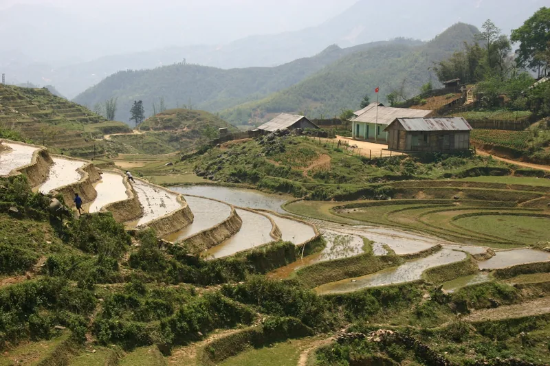Water-filled rice terraces curve down a misty valley near a small village in Sapa, Vietnam.