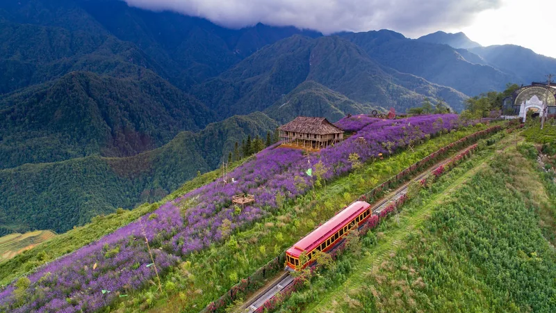 A red mountain train winds past purple flower fields and a thatched house on Fansipan's slopes.