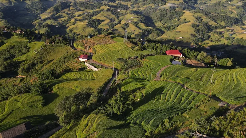 Aerial view of green terraced fields curving across the hillsides near Sapa, with a red-roofed house among the terraces.