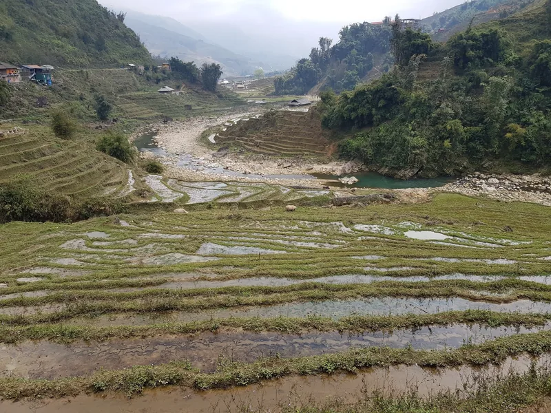 Water-filled rice terraces line a rocky river valley near Sapa, with mountains rising in the misty background.