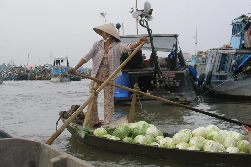 A woman in a conical hat rows a boat loaded with cabbages at the Can Tho floating market.
