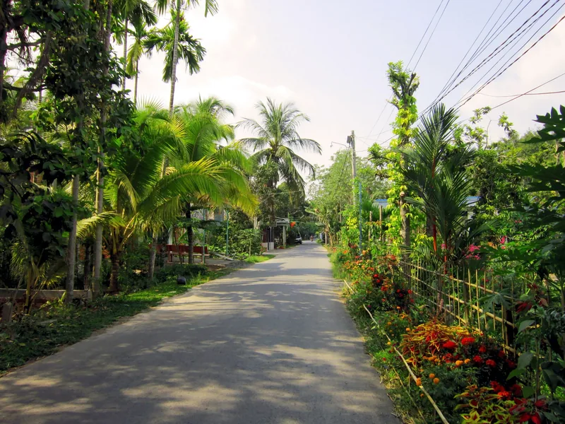 A quiet paved road lined with palm trees and flowering shrubs in a rural village near Can Tho.