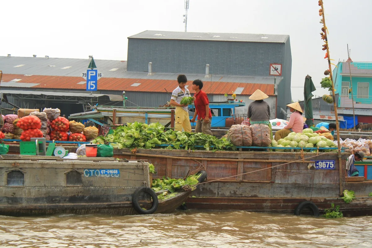 Vendors sell cabbages and vegetables from wooden boats at Can Tho's floating market on the Mekong Delta.