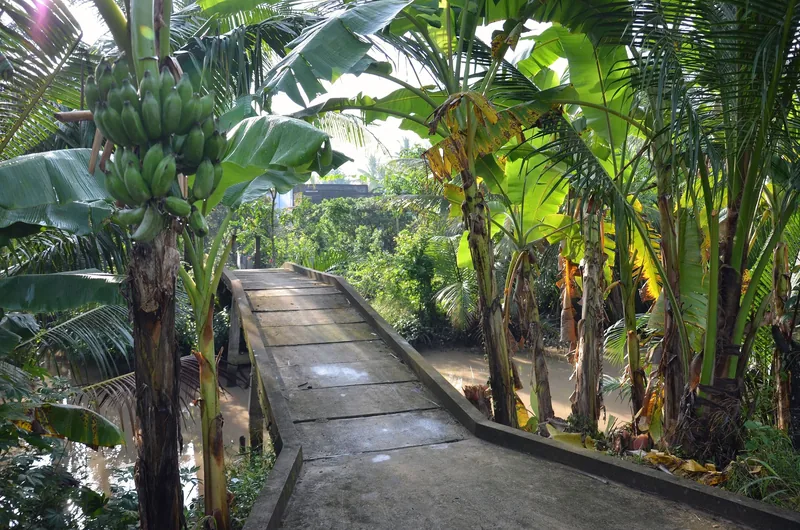 A narrow concrete bridge crosses a canal lined with banana trees and palms in the Mekong Delta.