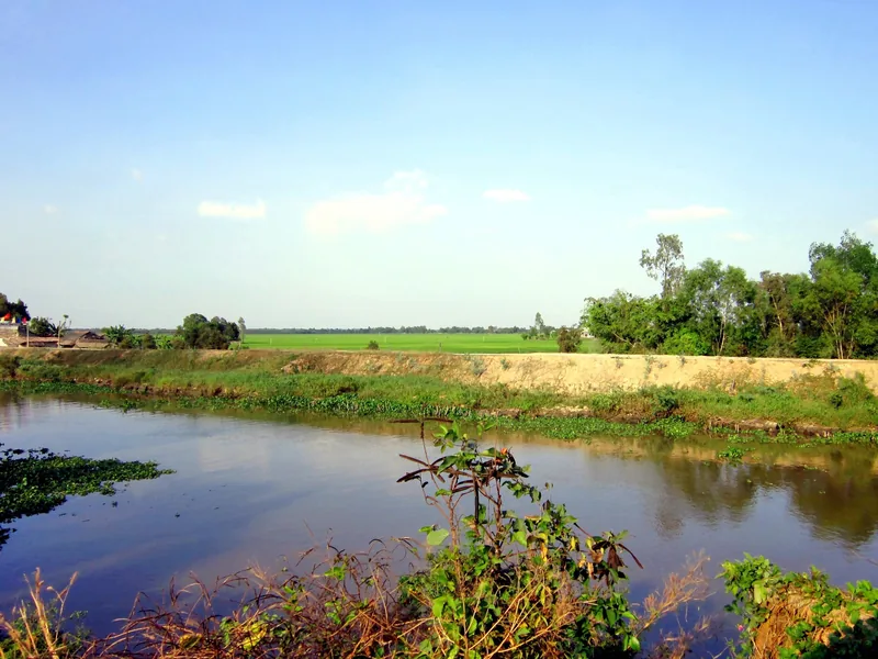 A quiet canal bordered by grassy banks and green rice fields under a blue sky in Dong Thap.